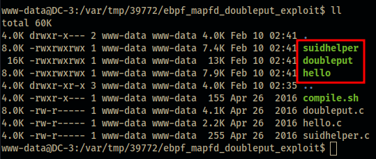exploit ready for execution!