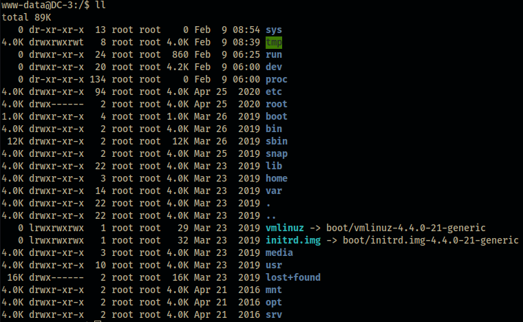 A stable python spawned bash shell with tty